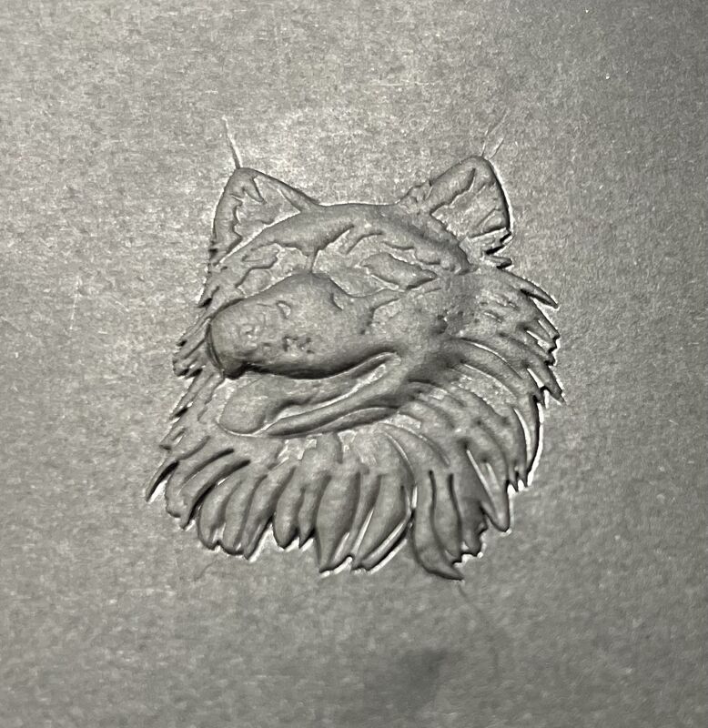 3D Gilding Automatic Hot Foil Stamping Machine per carta da imballaggio di gamma completa, color stamping